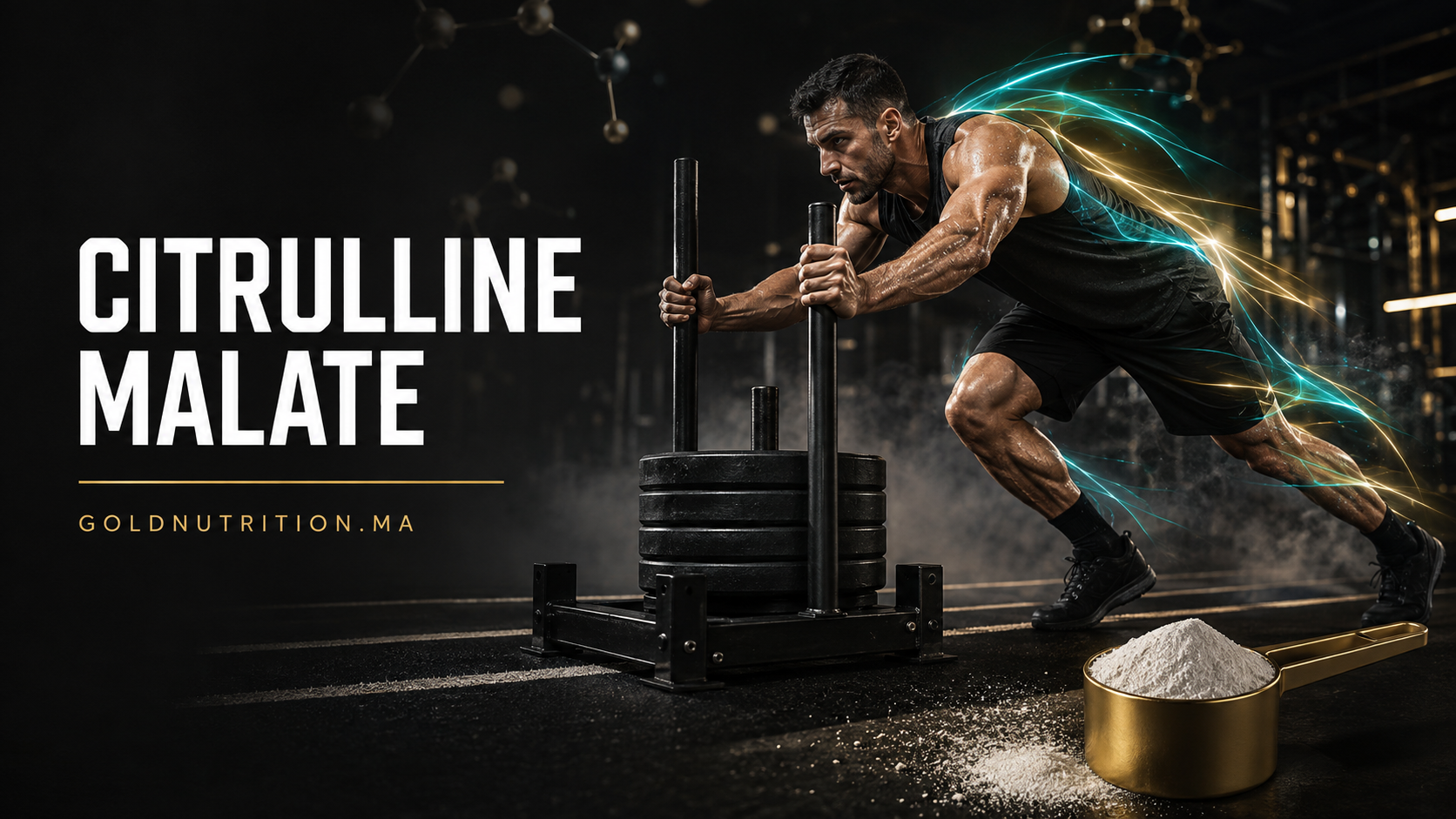 Citrulline Malate Maroc bienfaits dosage et effets